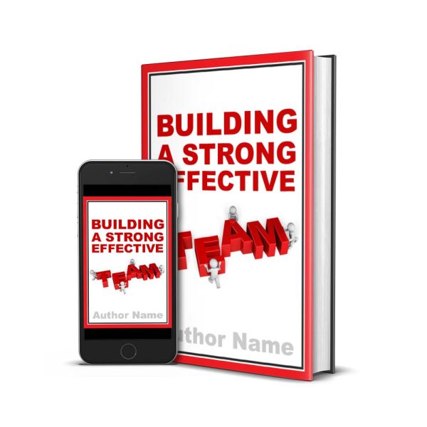 teambuilding leadership concept nonfiction book cover premade for sale